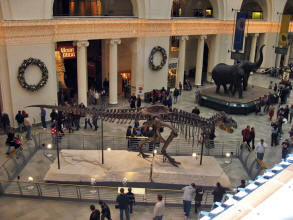 Field Museum